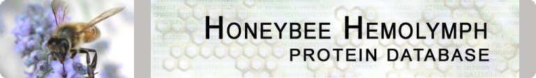 Honeybee on a flower/Honeybee Hemolymph protein database